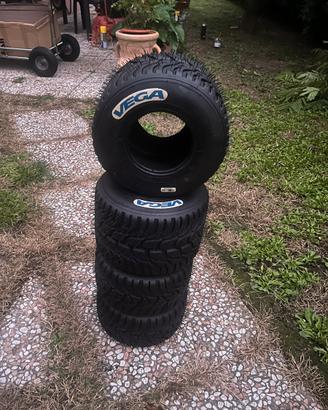 VEGA W6 – CIK RAIN