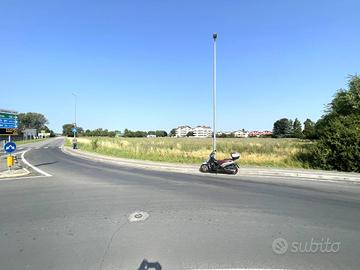 MONFALCONE: TERRENO AGRICOLO