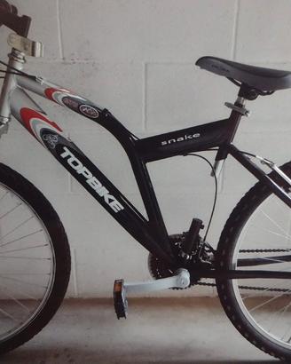 bicicletta Topbike