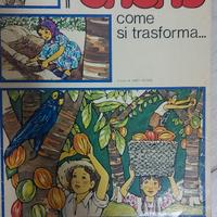 Libro vintage "come si trasforma il cacao"