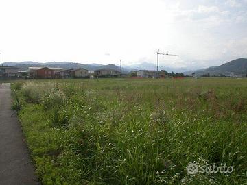 Terreno agricolo irrigato