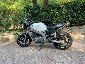 Suzuki GS500 Scrambler per patente A2