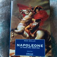 Napoleone, la voce del destino