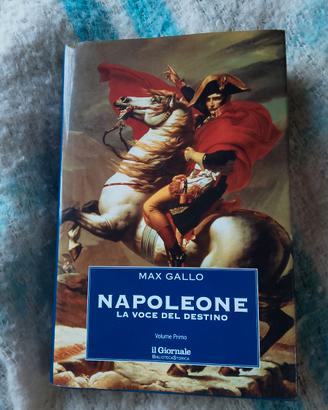 Napoleone, la voce del destino