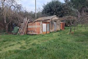 Terreno agricolo 5 ettari