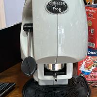 Frog gesso 1 settiamana di vita