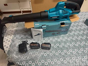 Soffiatore professionale