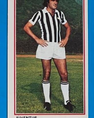 ANTONELLO CUCCUREDDU 183 figurina PANINI 1974 75