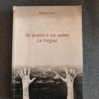 se questo è un uomo/La tregua