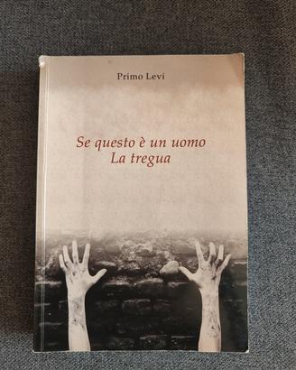 se questo è un uomo/La tregua