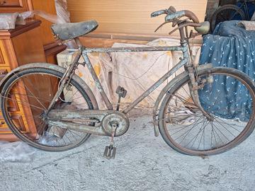 2 bici Balloncino  alessandrine Validior e Amerio