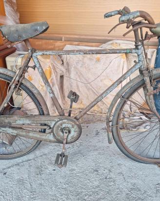 2 bici Balloncino  alessandrine Validior e Amerio