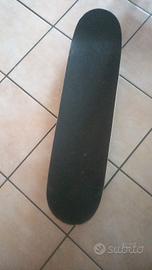 skateboard Santa Cruz 