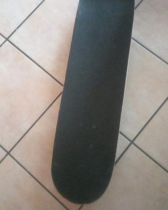 skateboard Santa Cruz 