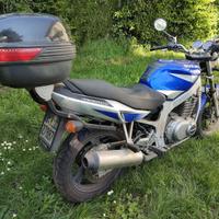 Suzuki gs500
