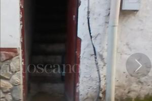 Nonregalo