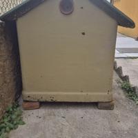 Cuccia in cemento