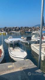 barca in vetroresina 3,80m