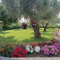 Villetta Relax