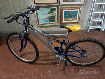 mountain bike endurance