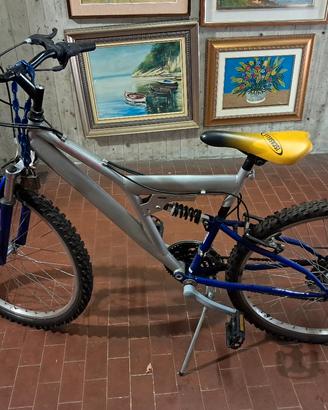 mountain bike endurance