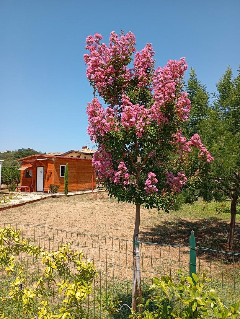 Terreno edificabile in Villa Oliveti di Rosciano - Vista 2