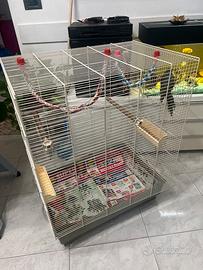 Gabbia per Pappagalli