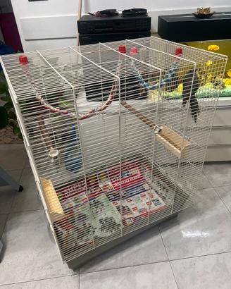 Gabbia per Pappagalli