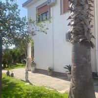 Casa vaca