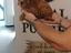 Immagine 12