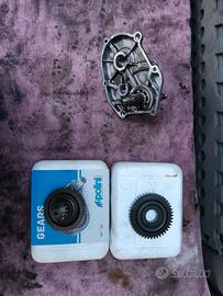 Rapporti originali Minarelli Verticale/Orizzontale