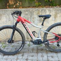e-mtb Olympia performer 900 - 2021