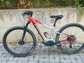 e-mtb Olympia performer 900 - 2021