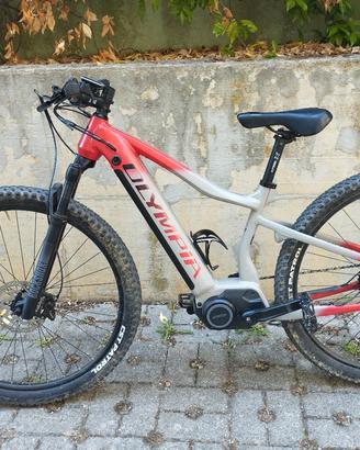 e-mtb Olympia performer 900 - 2021