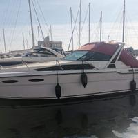 Sea Ray 300 Weekender motori linea D'asse