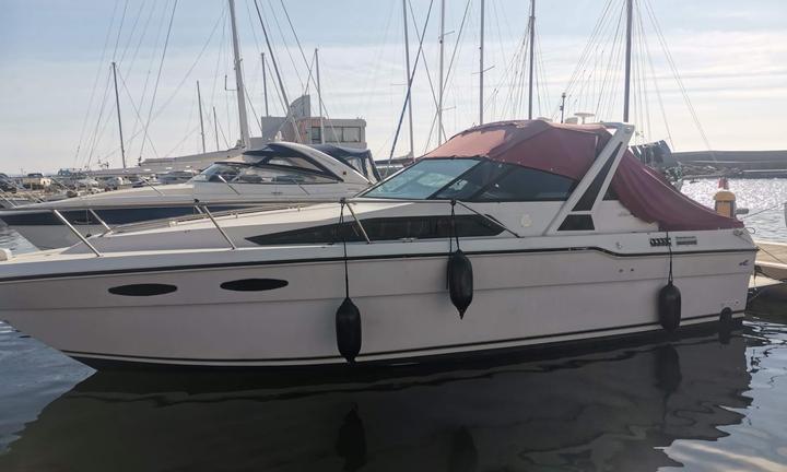 Sea Ray 300 Weekender motori linea D'asse