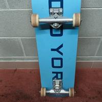 skate zoo york