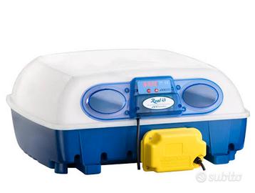 incubatrice Borotto 