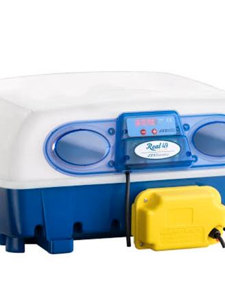 incubatrice Borotto 