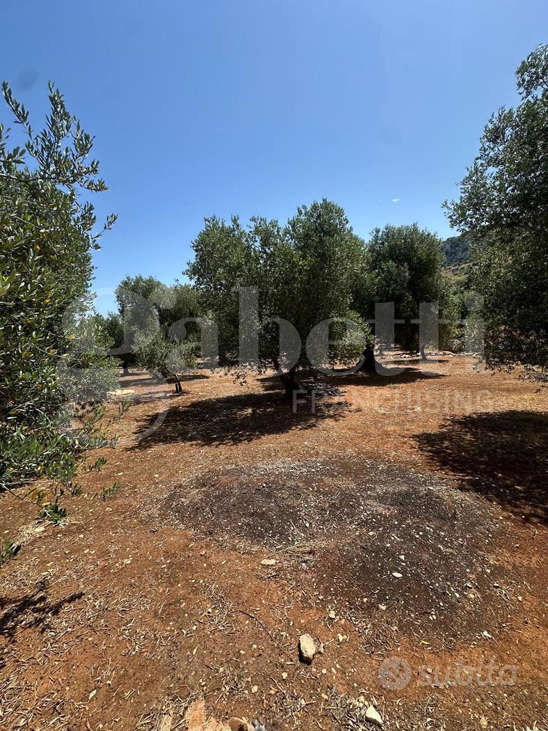 Terreno Agricolo Ostuni [Cod. rif 3234970VCG] - Altro