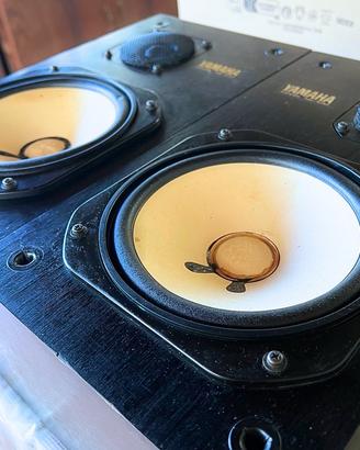 Yamaha NS-10M + Tweeter di Ricambio