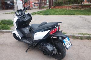 wotton 125 GT2 2025 