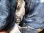 Immagine 4