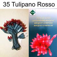 Luci Natale Bouquet Tulipano Rosso 35 Piselli inca