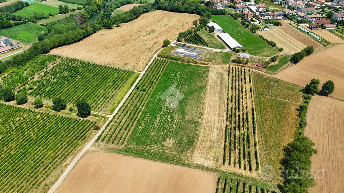 TER. AGRICOLO A CALVAGESE DELLA RIVIERA - Vista 3