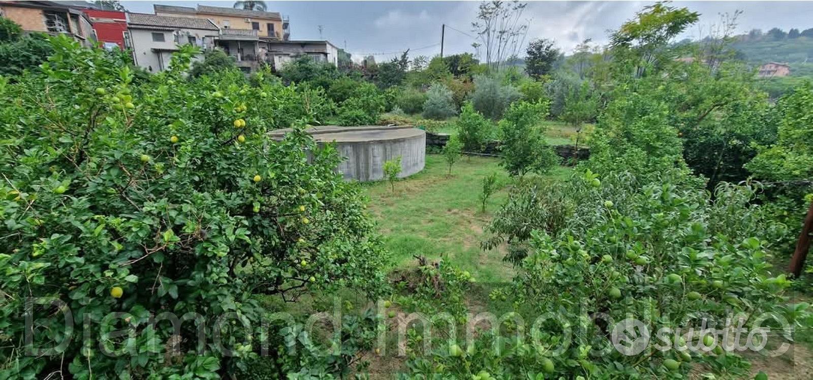 Terreno agricolo 1.200mq a Giarre - Vista 2