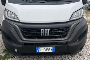 Fiat ducato cassonato 7 posti testata dasostituire