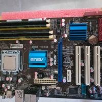 scheda madre ASUS P5QL Pro, Intel Q6600 non funzio