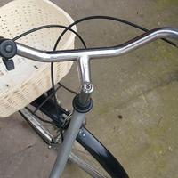 Bicicletta da donna