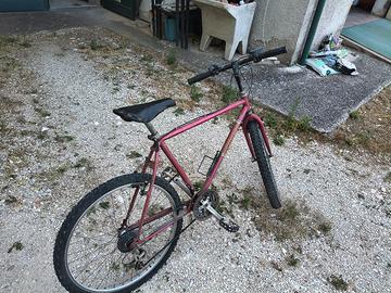 bicicletta spinicci Mountain bike